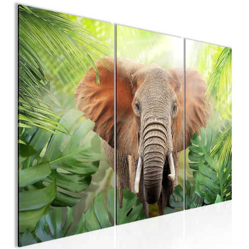 Wandbilder Wohnzimmer XXL Tieger Abstrakt Moderne Bilder Tiere